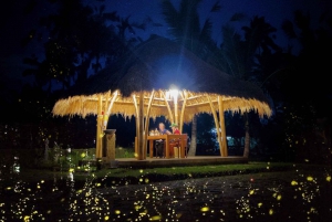 Ubud: Village Firefly Avondtour met Diner