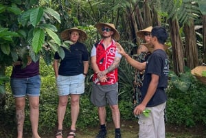 Ubud: Village Firefly Night Tour with Dinner