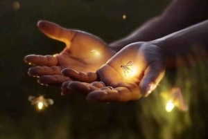 Ubud: Village Firefly Night Tour with Dinner