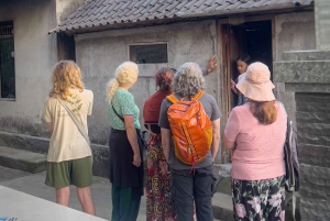 Ubud: Village Firefly Night Tour with Dinner