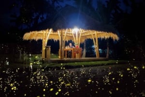 Ubud: Village Firefly Night Tour with Dinner