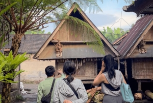 Ubud: Village Firefly Night Tour with Dinner