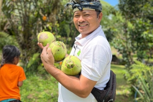 Ubud: Village Firefly Night Tour with Dinner