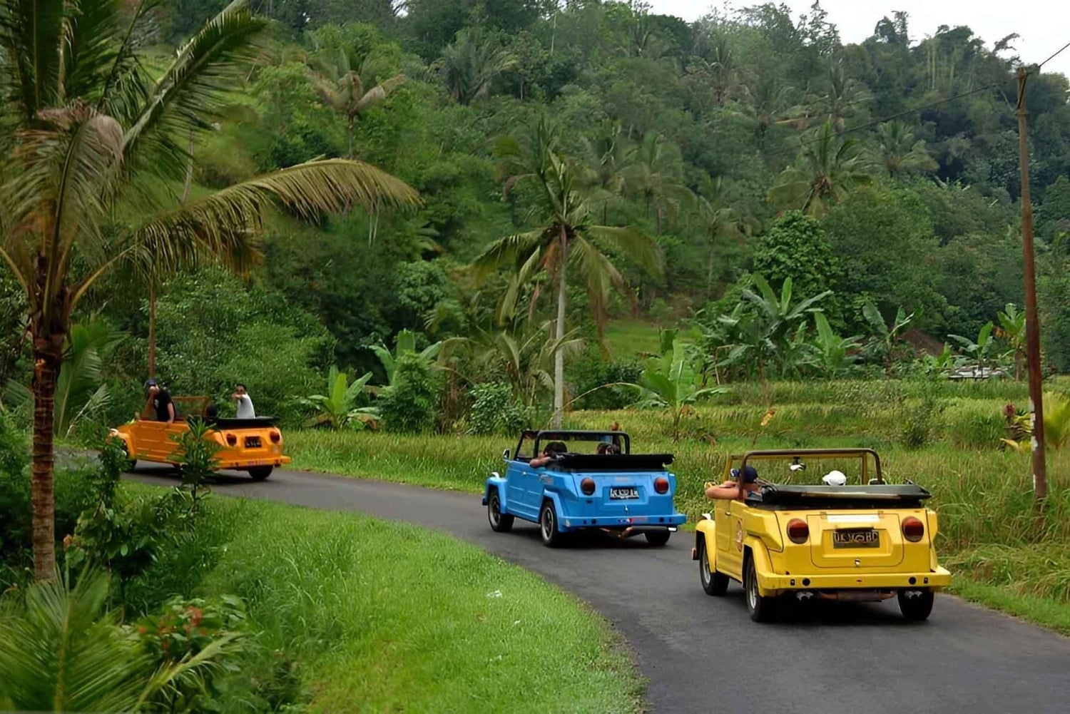 Ubud VW Safari Bali Tour