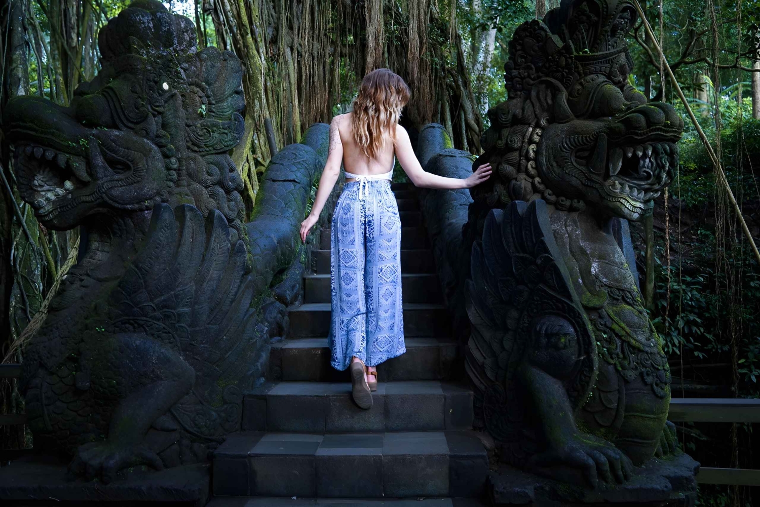 Ubud VW Safari Bali Tour