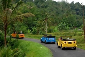 Ubud VW Safari Bali Tour