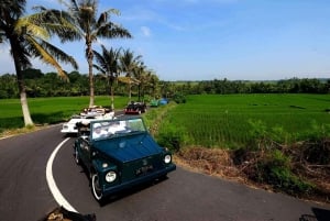 Passeio de Ubud VW Safari em Bali