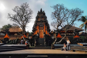 Ubud VW Safari Bali Tour