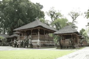 Ubud VW Safari Bali Tour