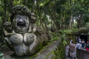 Ubud VW Safari Bali Tour