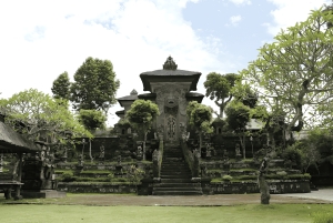 Ubud VW Safari Bali Tour