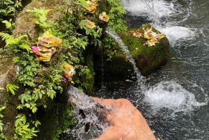 Ubud: Water Purification at Pura Mengening (All included)