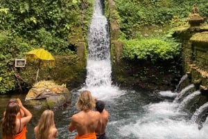 Ubud: Water Purification at Pura Mengening (All included)