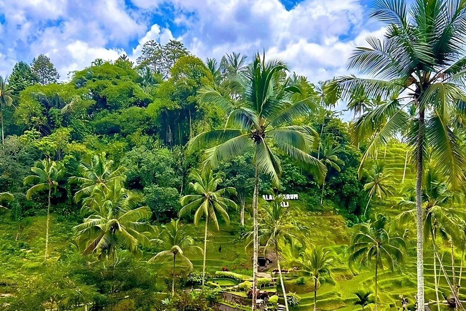 Ubud: Waterfall, Art Gallery, Dayclub, Spa, & Dinner Tour