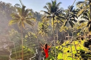 Ubud: Waterfall, Art Gallery, Dayclub, Spa, & Dinner Tour