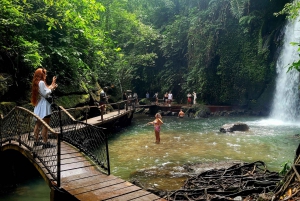 Ubud: Privat halvdagsutflykt med risterrass och vattenfall