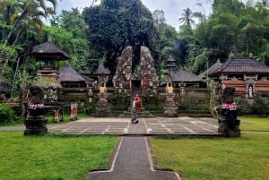 Ubud: Privat halvdagsutflykt med risterrass och vattenfall