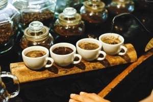 Ubud: Privat halvdagsutflykt med risterrass och vattenfall