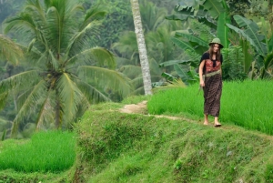 Ubud: Privat halvdagsutflykt med risterrass och vattenfall