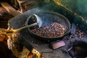 Ubud: Privat halvdagsutflykt med risterrass och vattenfall