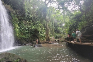 Ubud: Privat halvdagsutflykt med risterrass och vattenfall