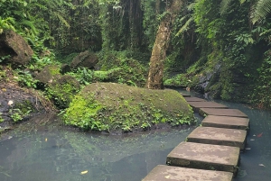 Ubud: Privat halvdagsutflykt med risterrass och vattenfall