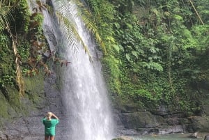 Ubud: Privat halvdagsutflykt med risterrass och vattenfall