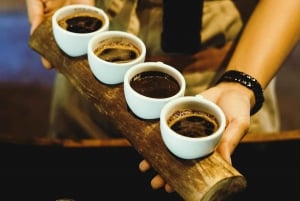 Ubud: Privat halvdagsutflykt med risterrass och vattenfall