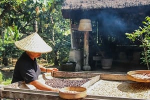 Ubud: Privat halvdagsutflykt med risterrass och vattenfall