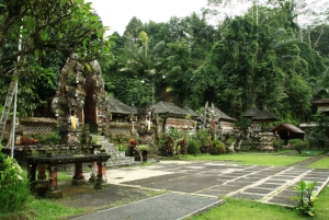 Ubud: Privat halvdagsutflykt med risterrass och vattenfall