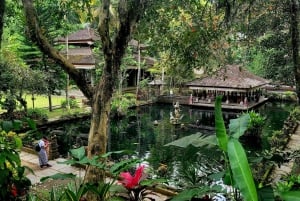 Ubud: Privat halvdagsutflykt med risterrass och vattenfall