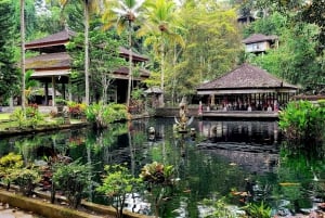 Ubud: Privat halvdagsutflykt med risterrass och vattenfall