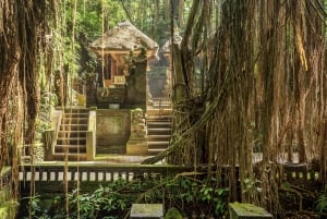 Ubud: Waterfall, Rice Terraces & Monkey Forest Private Tour