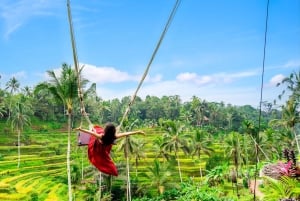 Ubud: Waterfall, Rice Terraces & Monkey Forest Private Tour