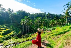 Ubud: Waterfall, Rice Terraces & Monkey Forest Private Tour
