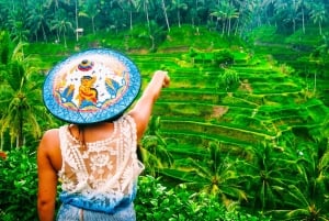 Ubud: Waterfall, Rice Terraces & Monkey Forest Private Tour