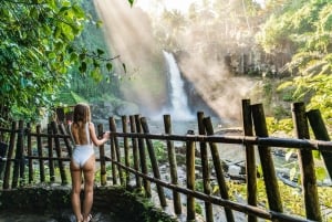 Ubud: Waterfall, Rice Terraces & Monkey Forest Private Tour