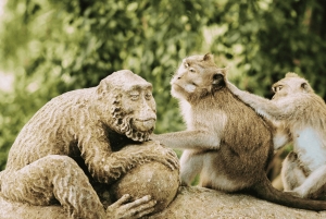 Ubud: Waterfall, Rice Terraces & Monkey Forest Private Tour