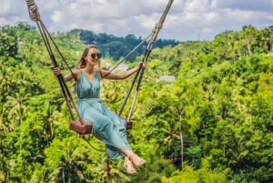 Ubud: Waterfall, Rice Terraces & Monkey Forest Private Tour