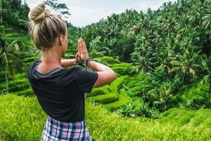 Ubud: Waterfall, Rice Terraces & Monkey Forest Private Tour
