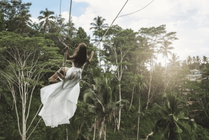 Ubud: Waterfall, Rice Terraces & Monkey Forest Private Tour