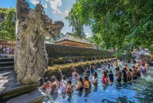 Ubud: Waterfall, Rice Terraces & Monkey Forest Private Tour