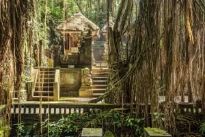 Ubud: Waterfall, Rice Terraces & Monkey Forest Private Tour