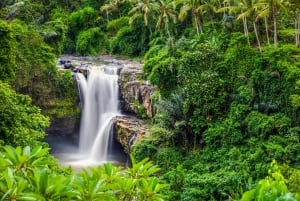 Ubud: Waterfall, Rice Terraces & Monkey Forest Private Tour