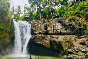 Ubud: Cascata, risaia, rituale di purificazione Tour privato