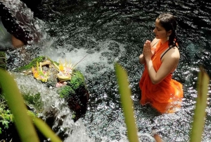 Ubud: Cascata, risaia, rituale di purificazione Tour privato