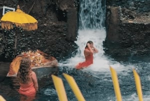 Ubud: Vandfald, rismark, renselsesritual Privat tur