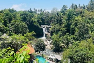 Ubud: Vandfald, rismark, renselsesritual Privat tur
