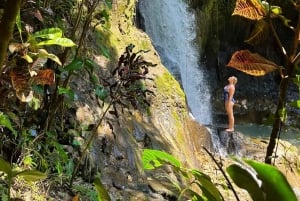 Ubud: Wasserfälle, Reisterrasse & Bali Swing, Private Tour