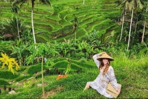 Ubud: Wasserfälle, Reisterrasse & Bali Swing, Private Tour